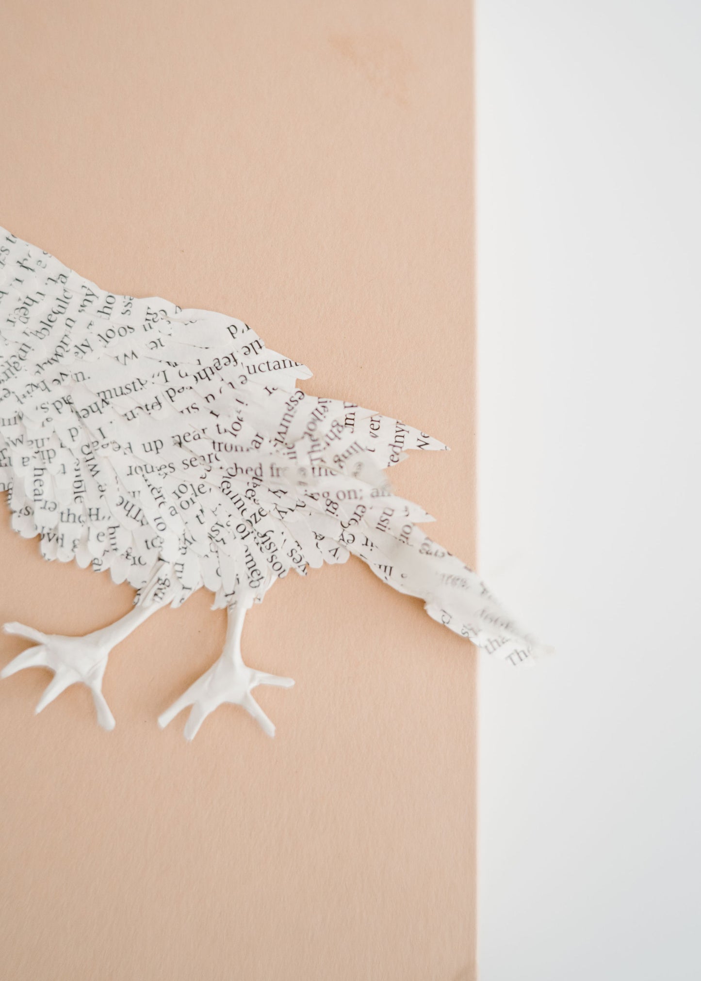 A Songbird Story Book Art