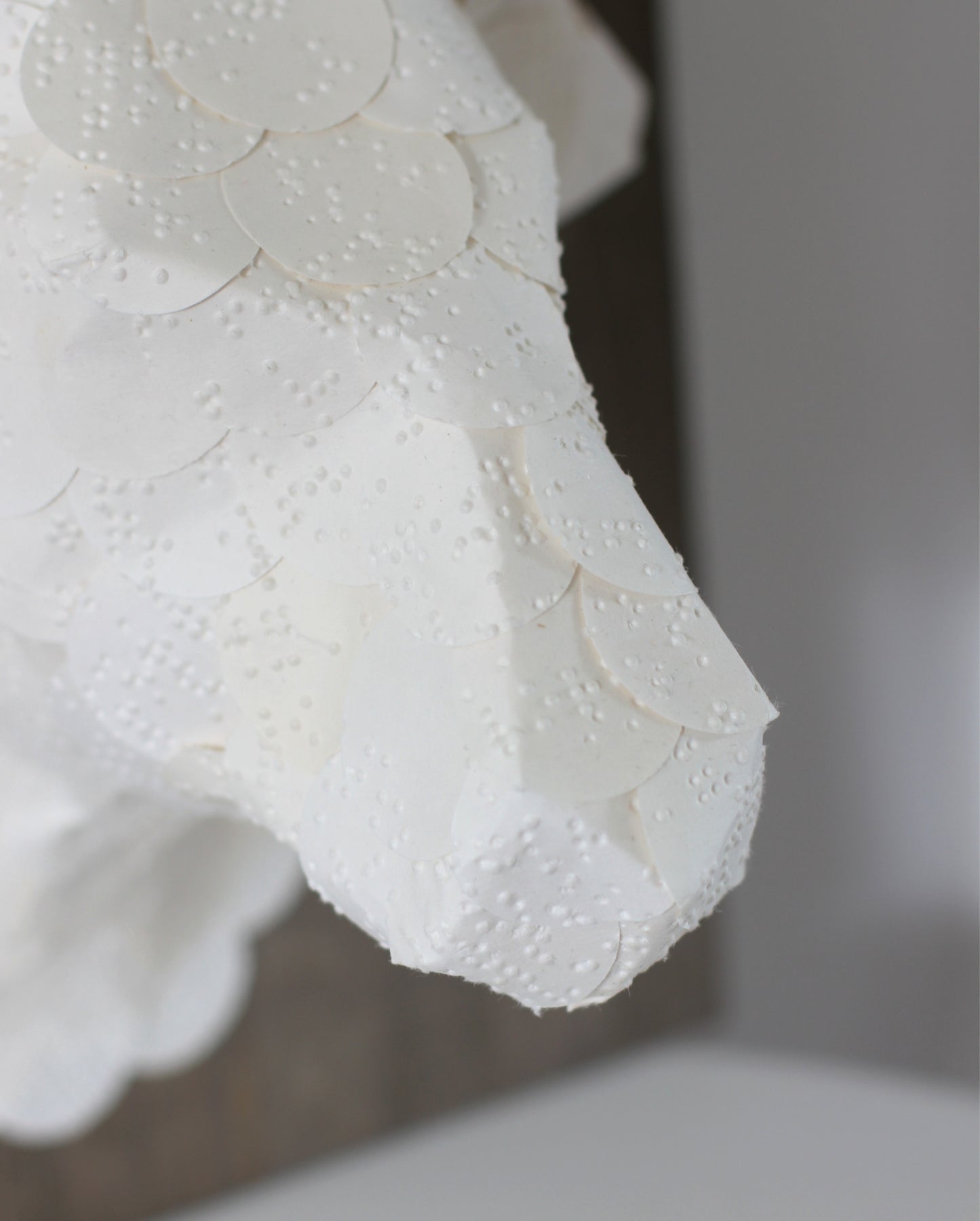 Longhorn Sculpture From Braille Paper