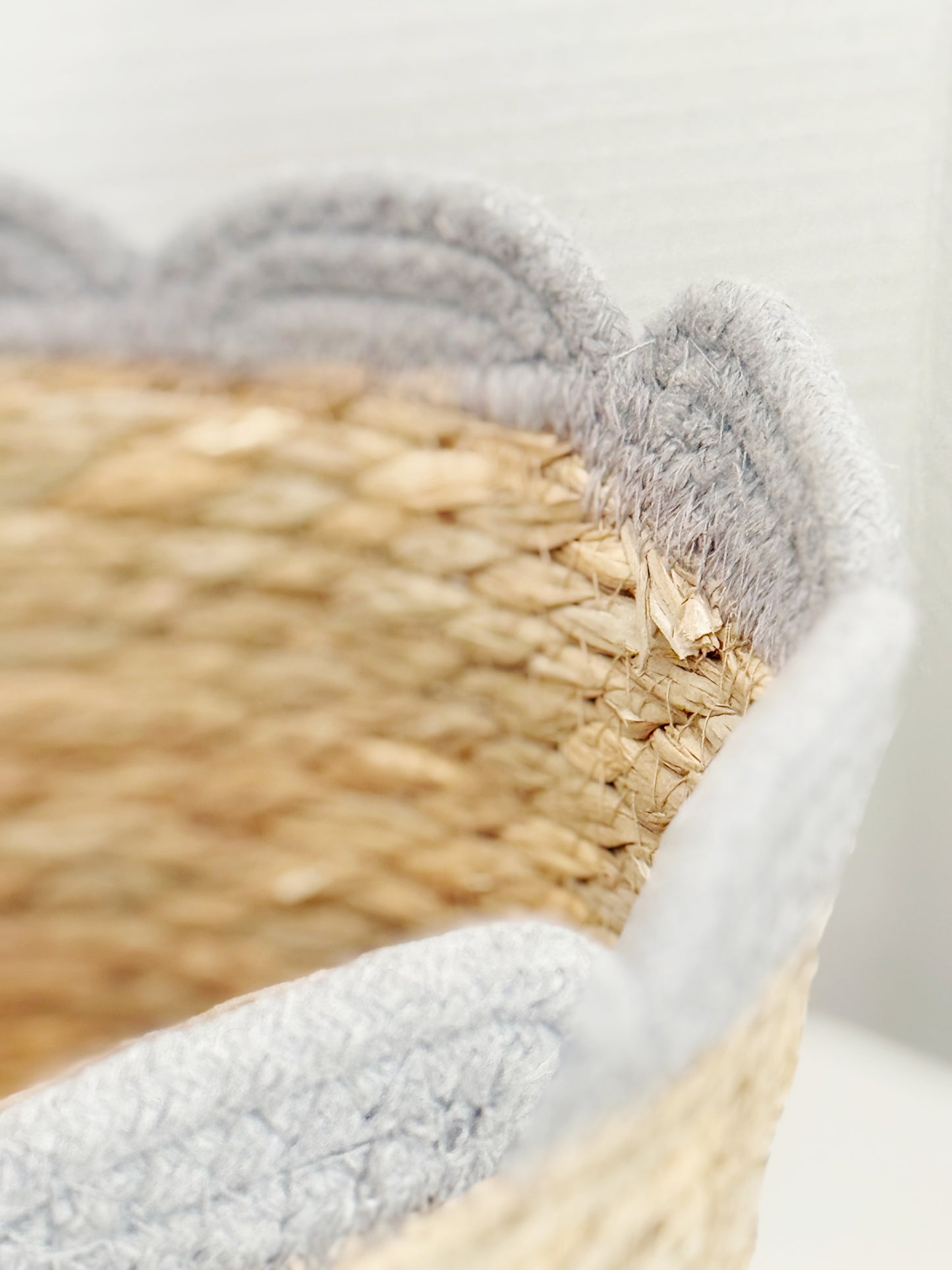 Painted Nest Scalloped Basket