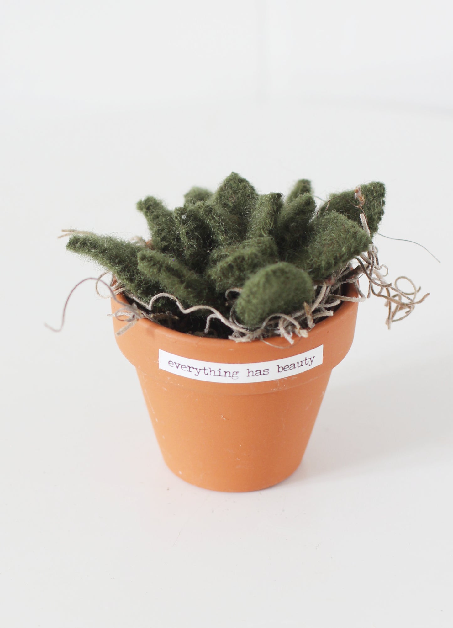 Felt Succulent Pot