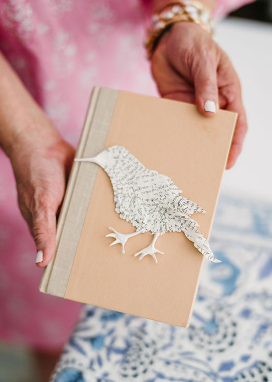 A Songbird Story Book Art