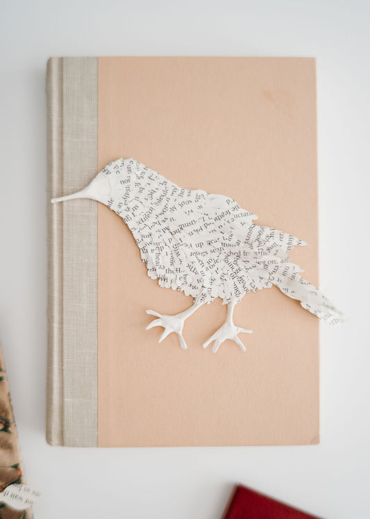 A Songbird Story Book Art