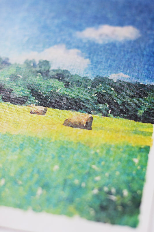 In The Back Pasture Rolled Canvas Print