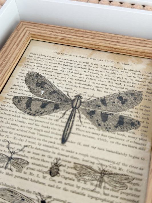 Beaded Frame With Vintage Illustration