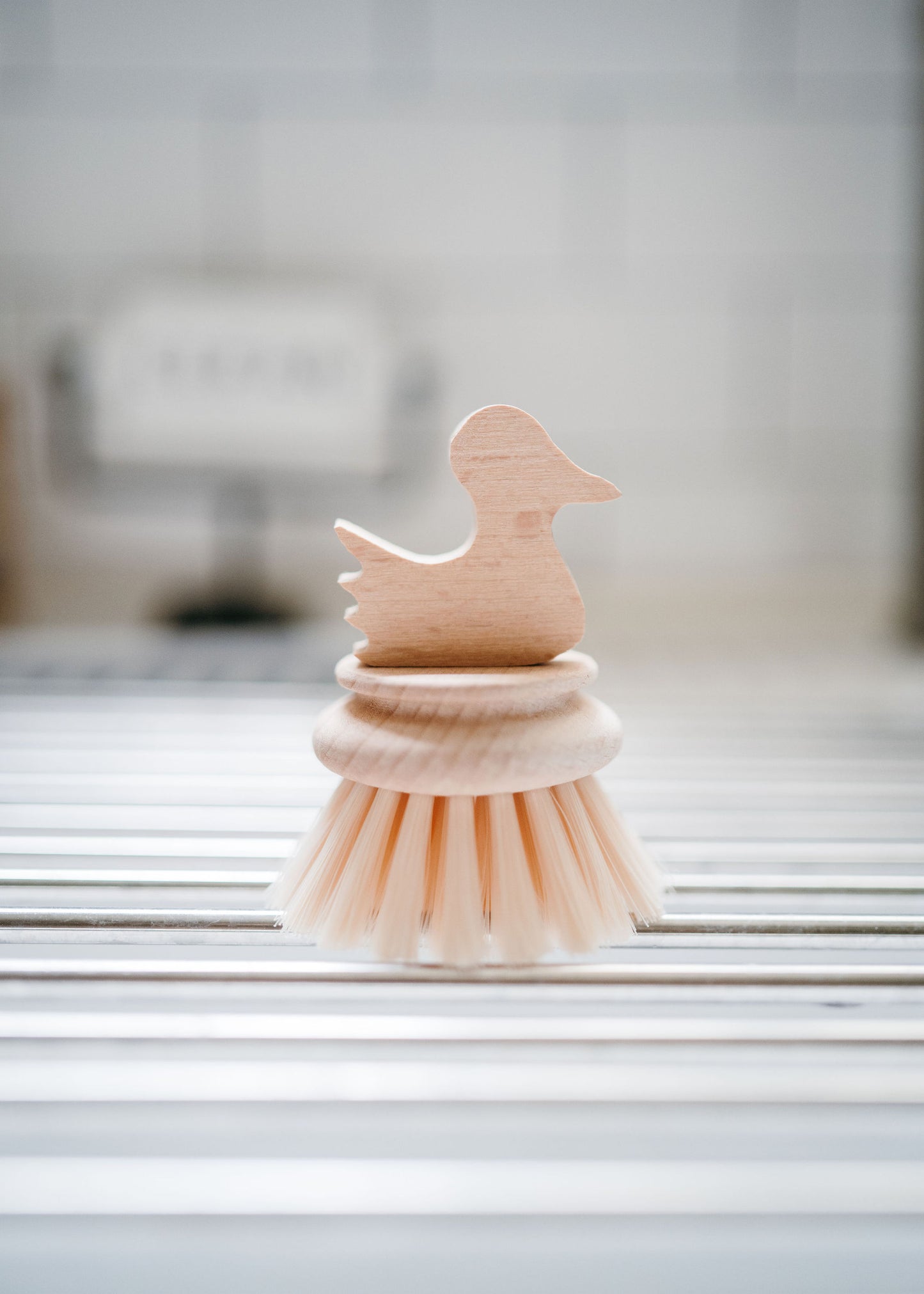 Sunny Side Scrub Brushes