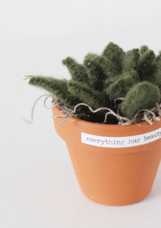 Felt Succulent Pot