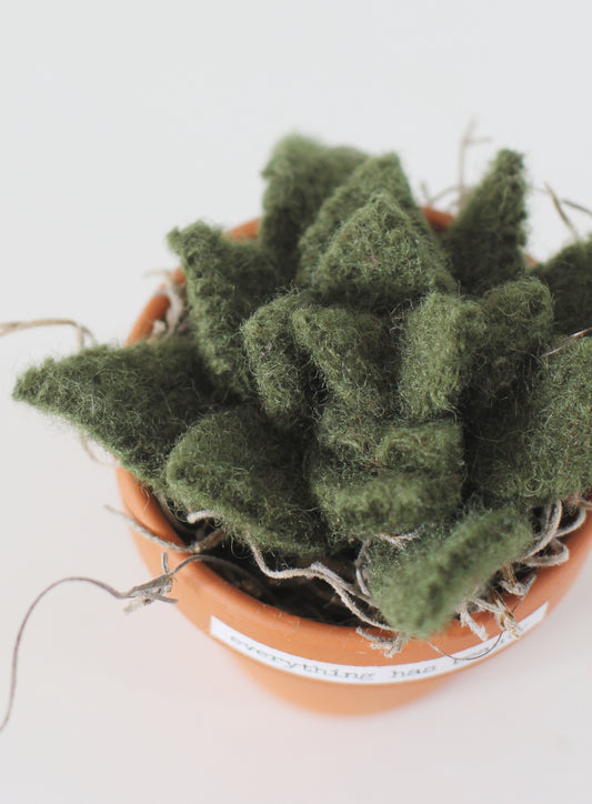 Felt Succulent Pot